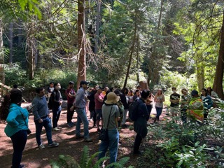 People in forest